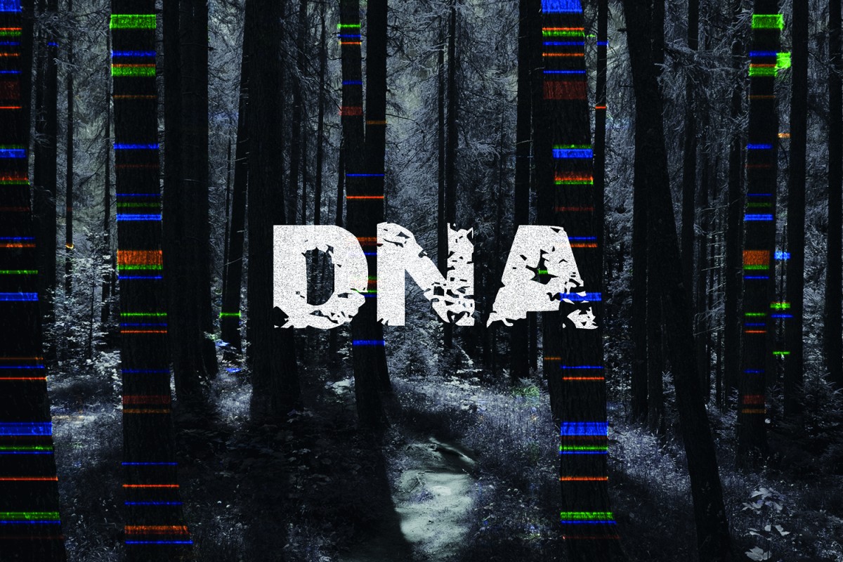 DNA by Dennis Kelly from https://sjt.uk.com