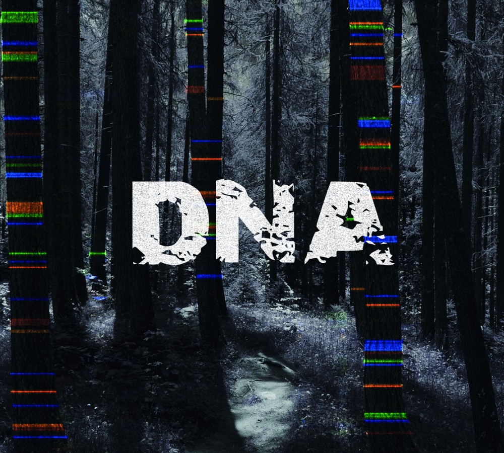 DNA by Dennis Kelly from https://sjt.uk.com